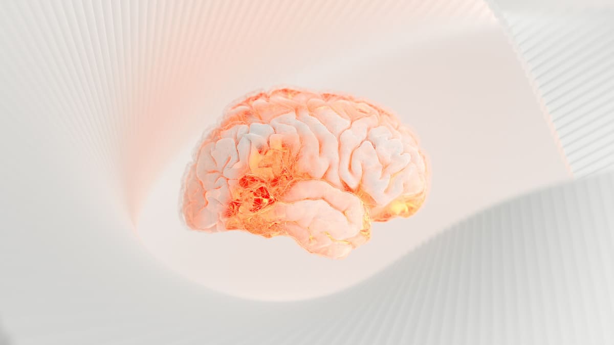 Día Mundial del Accidente Cerebrovascular. Foto: Unsplash