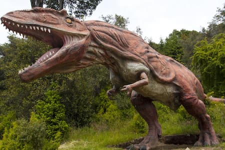 Parque Nahuelito, en San Carlos de Bariloche. Foto: parquenahuelito.com.ar.