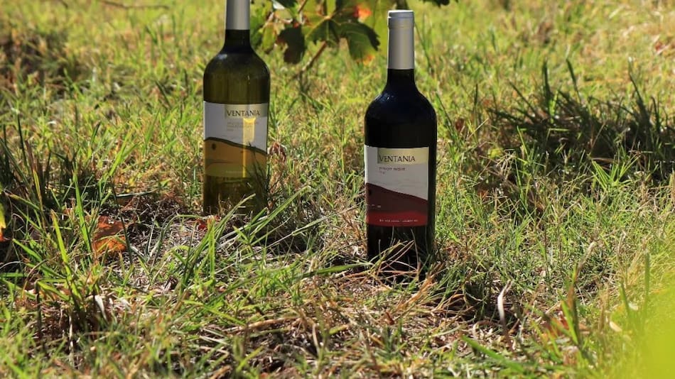 Foto Instagram @bodegasaldungaray