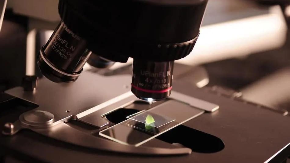 Crean un test salival para detectar la endometriosis