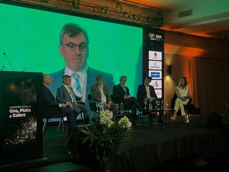 Oro, Plata y Cobre 2025.