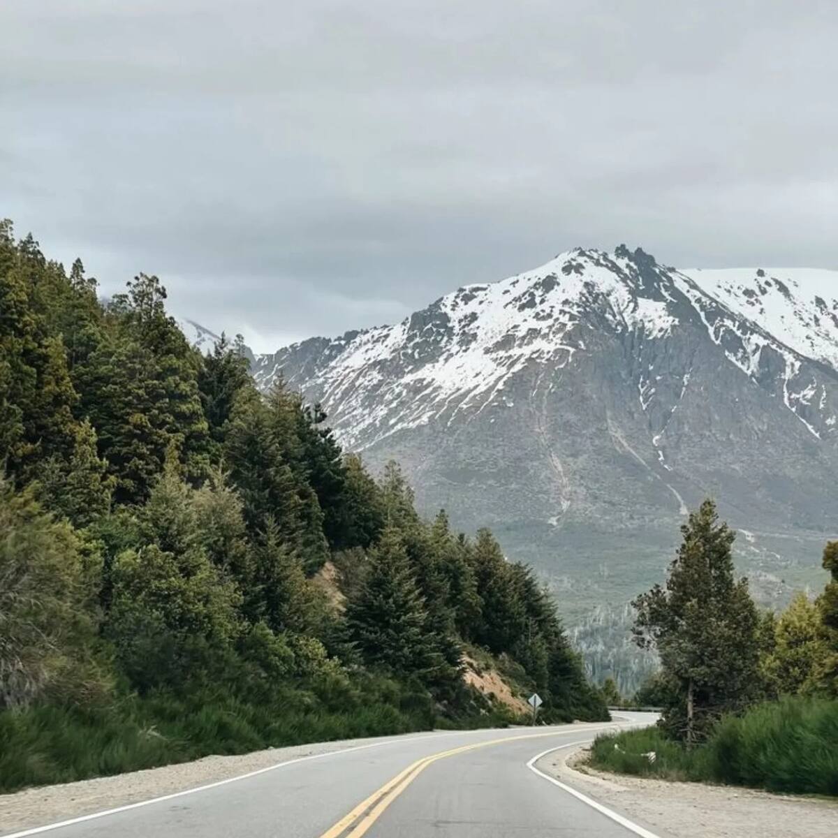 Ruta 40