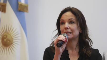 Stanley: "El protocolo sobre aborto no punible será derogado, fue una decisión inconsulta"