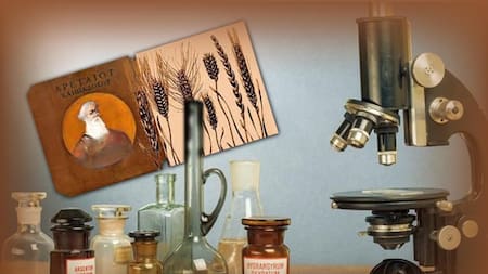 Día Internacional de la Celiaquía, efemérides, foto Diario 26, foto chica