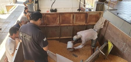 Cocaína escondida en un camión de maíz. Foto: Aduana.