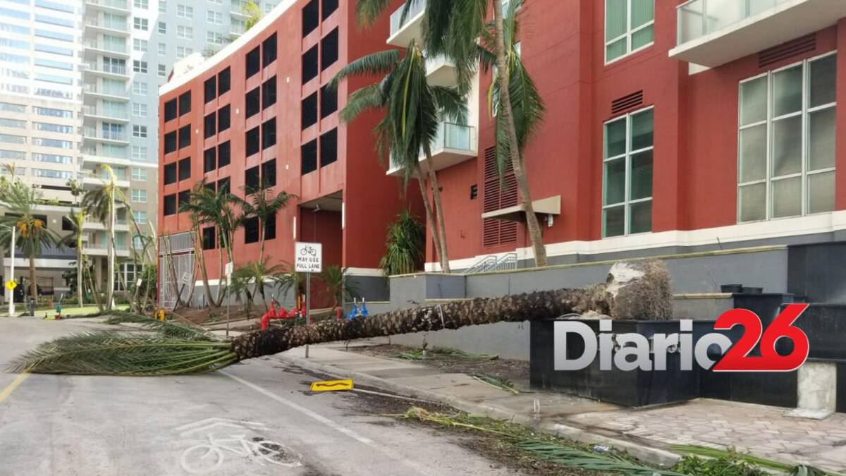 Fotos exclusivas Miami, el día después del paso del Huracán Irma Diario 26