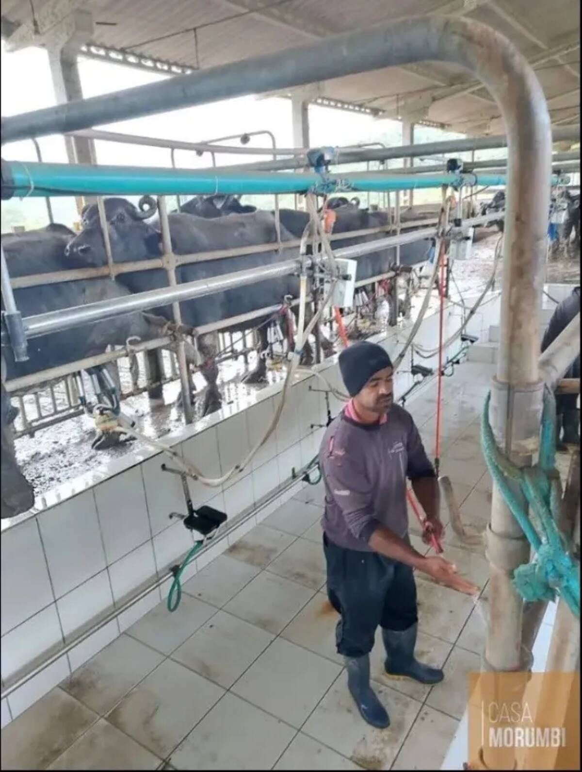 Finca de Pelé en venta en Brasil.