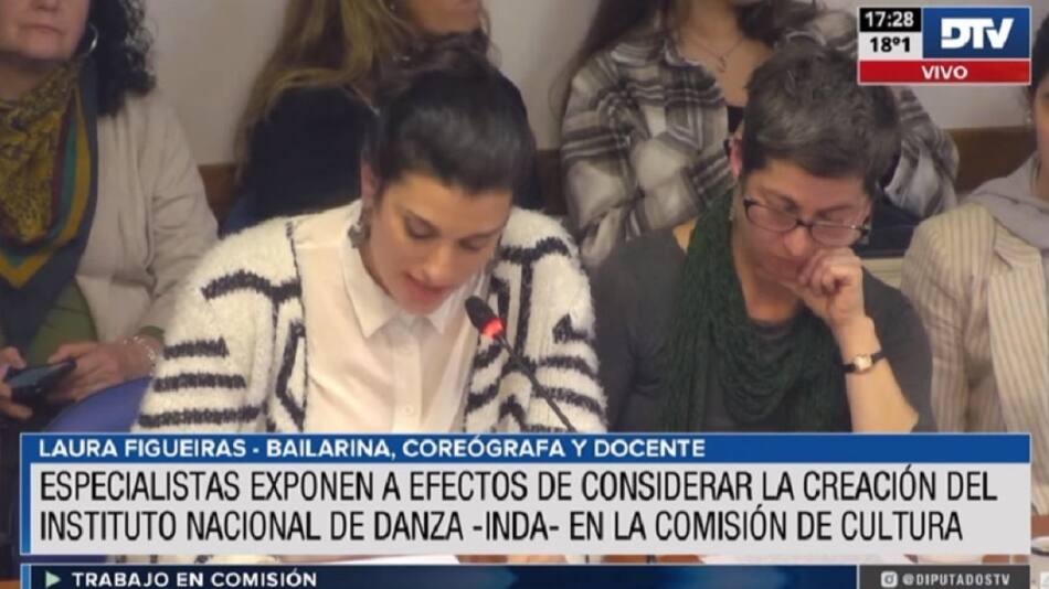 Diputados comenzó a debatir en comisión una ley nacional de danza
