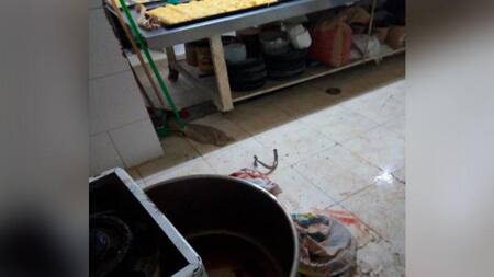 Nene de 4 años resultó gravemente herido al quedar atrapado en amasadora de pan en Bahía Blanca