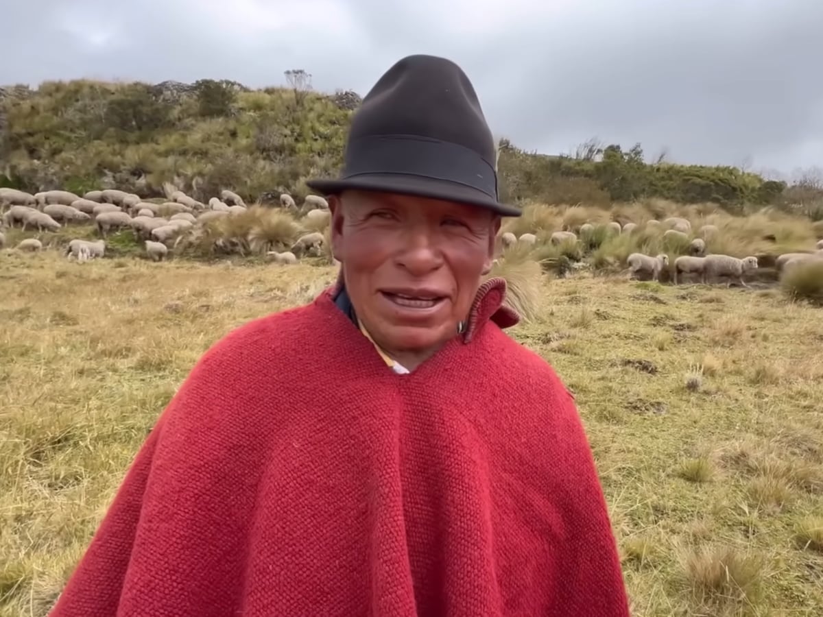 Pastor Juanito, de 71 años, cuida 150 ovejas a 4000 metros en los páramos de Ecuador: “Somos felices por la tranquilidad que hay”