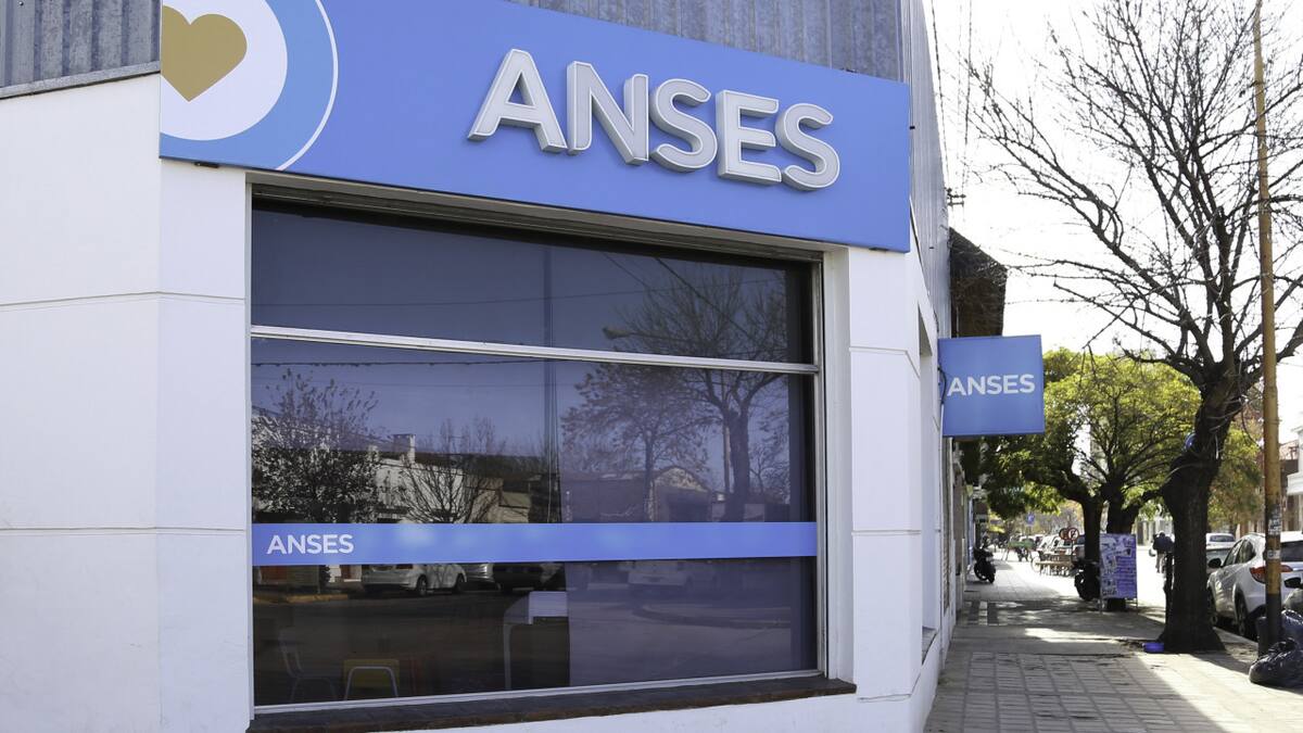 ANSES. Foto: NA.
