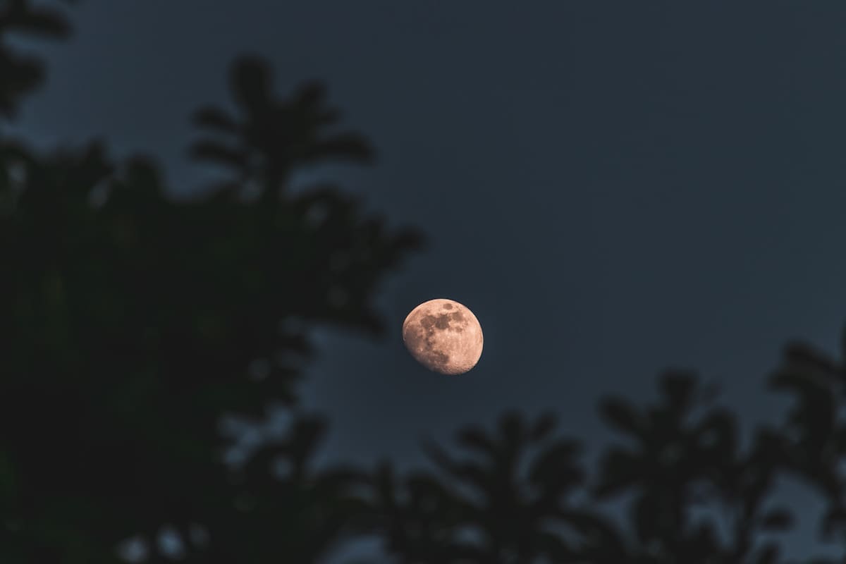 Luna nueva. Foto: Freepik.