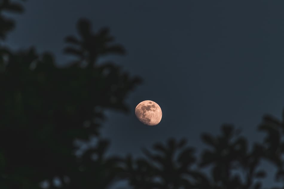 Luna nueva. Foto: Freepik.