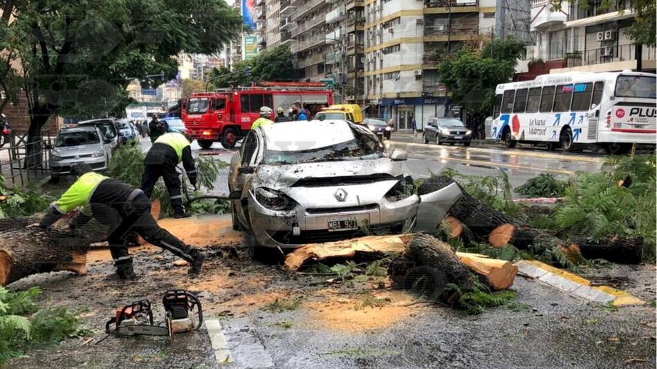 Árbol cayó sobre un auto en movimiento en Palermo