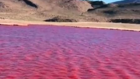 Río Nilo teñido de rojo. Foto: NA.