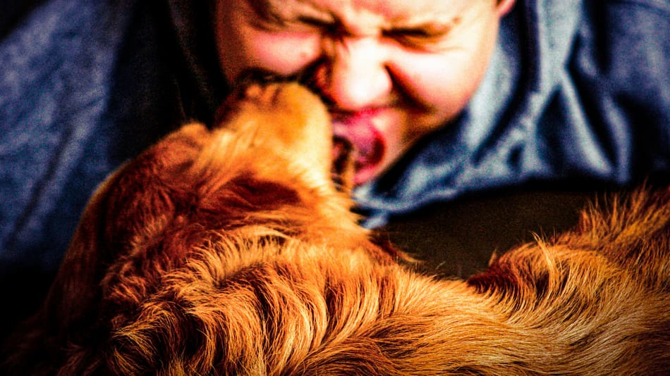 Los besos de los perros pueden ser peligrosos.