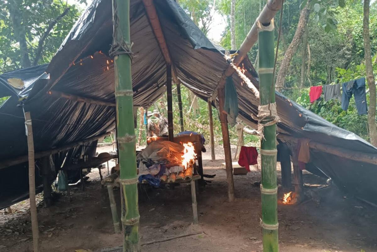 Cultivos de marihuana en Paraguay. Foto: EFE