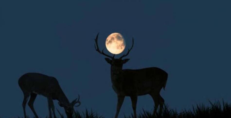 Será un 7% más grande que una Luna Llena. Foto: NA.