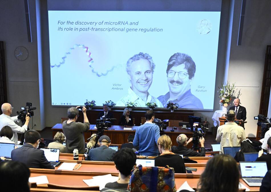 Gary Ruvkun y Víctor Ambros ganaron el Premio Nobel de Fisiología o Medicina 2024. Foto: EFE.