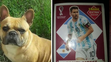 Un nene cambia una figurita de Messi por el perro de su amigo