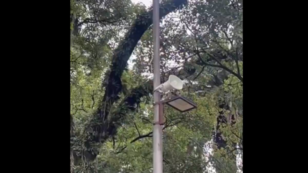 Cámaras y altavoces en plazas de San Miguel de Tucumán.