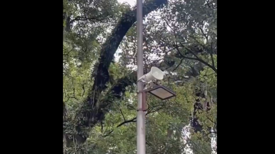 Cámaras y altavoces en plazas de San Miguel de Tucumán.