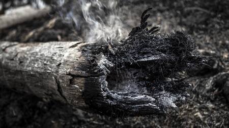 Incendios forestales en la Amazonía. Foto: EFE