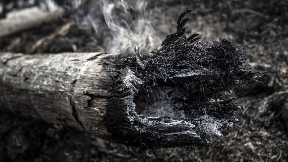 Incendios forestales en la Amazonía. Foto: EFE