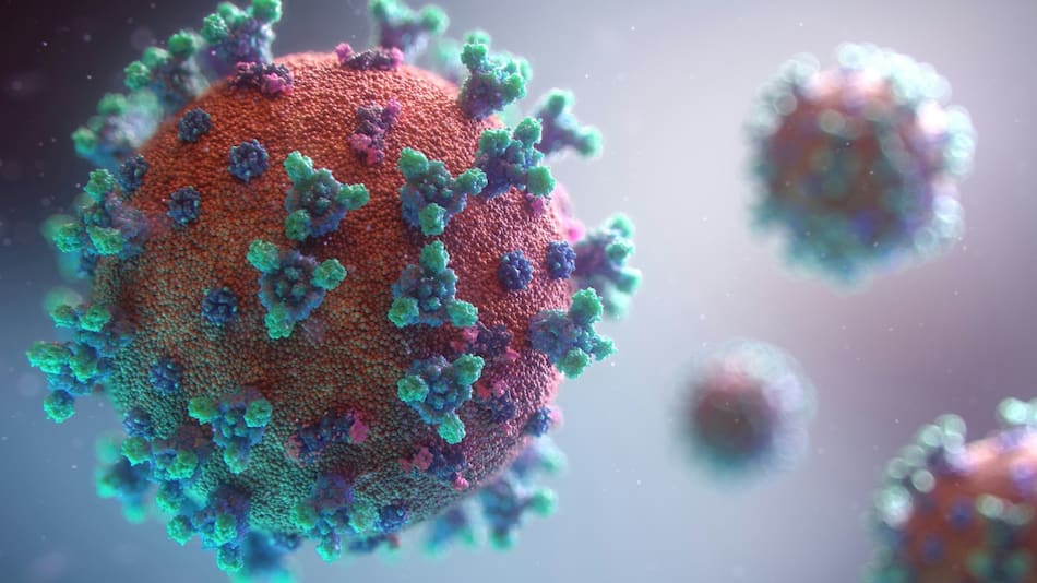 Bacterias. Foto: Unsplash.