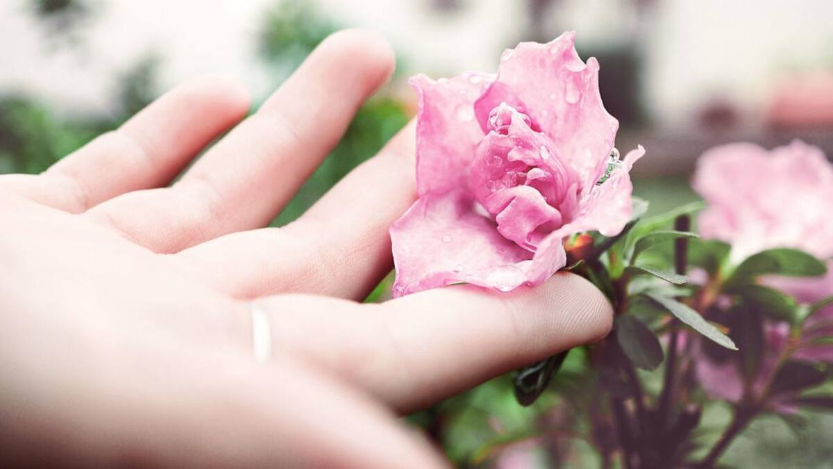 Clítoris: lo que hay saber sobre el órgano del placer que simboliza la sexualidad de las mujeres