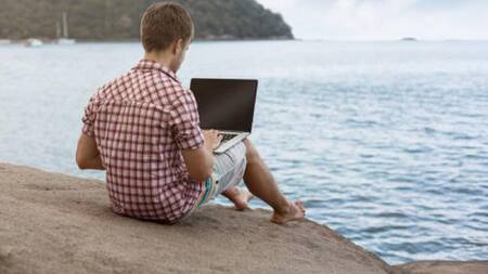 Nomada digital. Foto: Bioguía