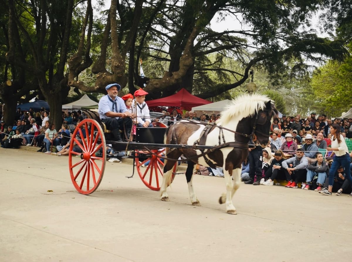 Fiestas regionales