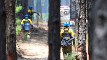 Incendios en Corrientes, foto NA
