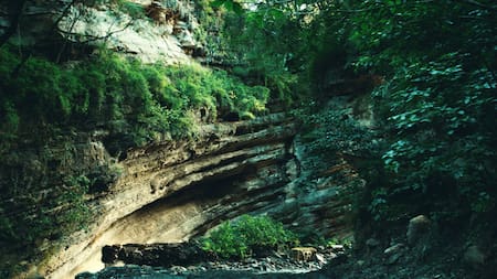 Las Yungas jujeñas. Foto: X