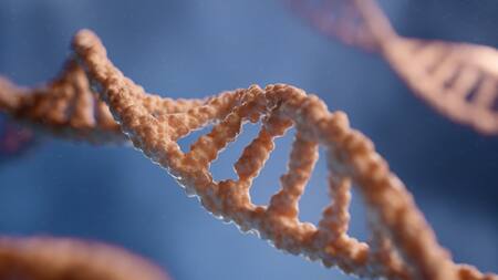 ADN en 3D. Foto: Unsplash