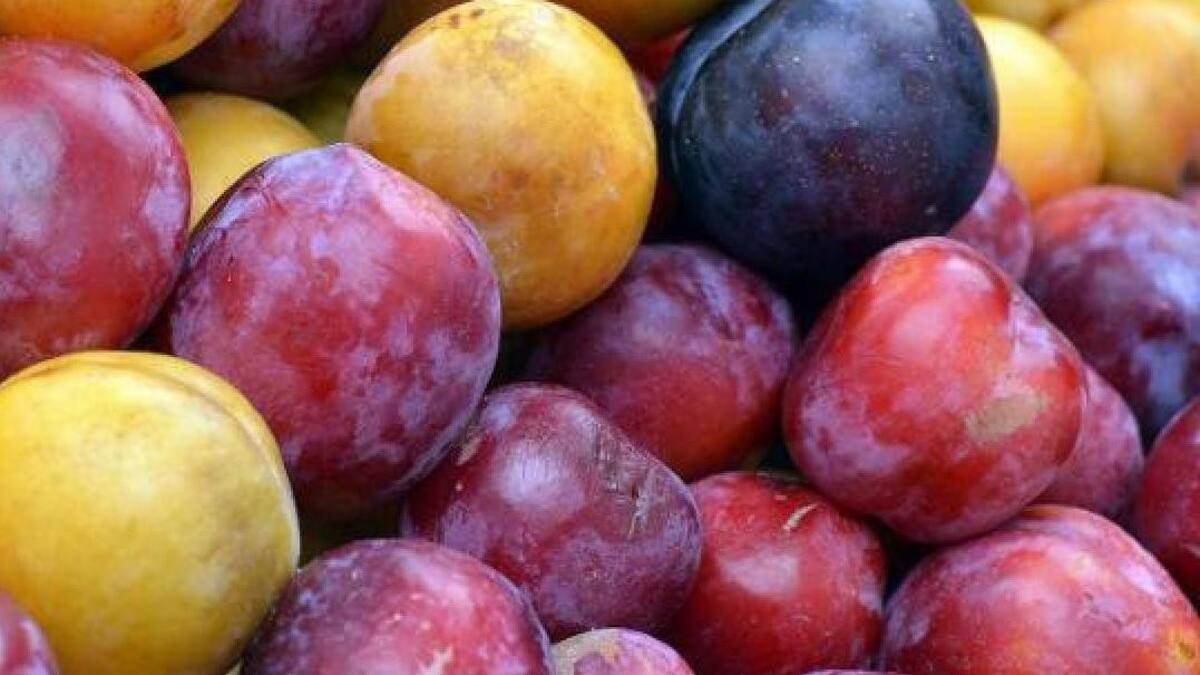 Ciruelas, fruta