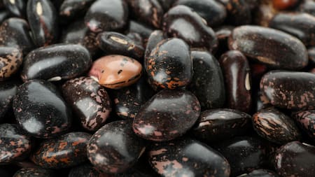 Porotos en negro: la Aduana denunció exportaciones subfacturadas en un 50% y podría aplicar multas de USD 28 millones. Foto: Aduana.