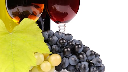 Llega la Fiesta Nacional de la Vendimia 2026: días, grilla de actividades, artistas y precio de las entradas