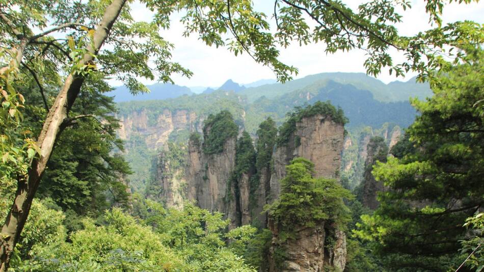 Parque Forestal Nacional de Zhangjiajie, en China. Foto: Freepik.