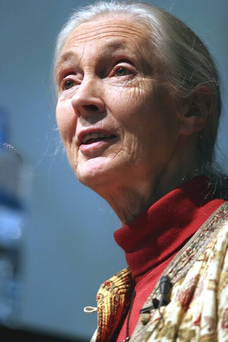 Jane Goodall.