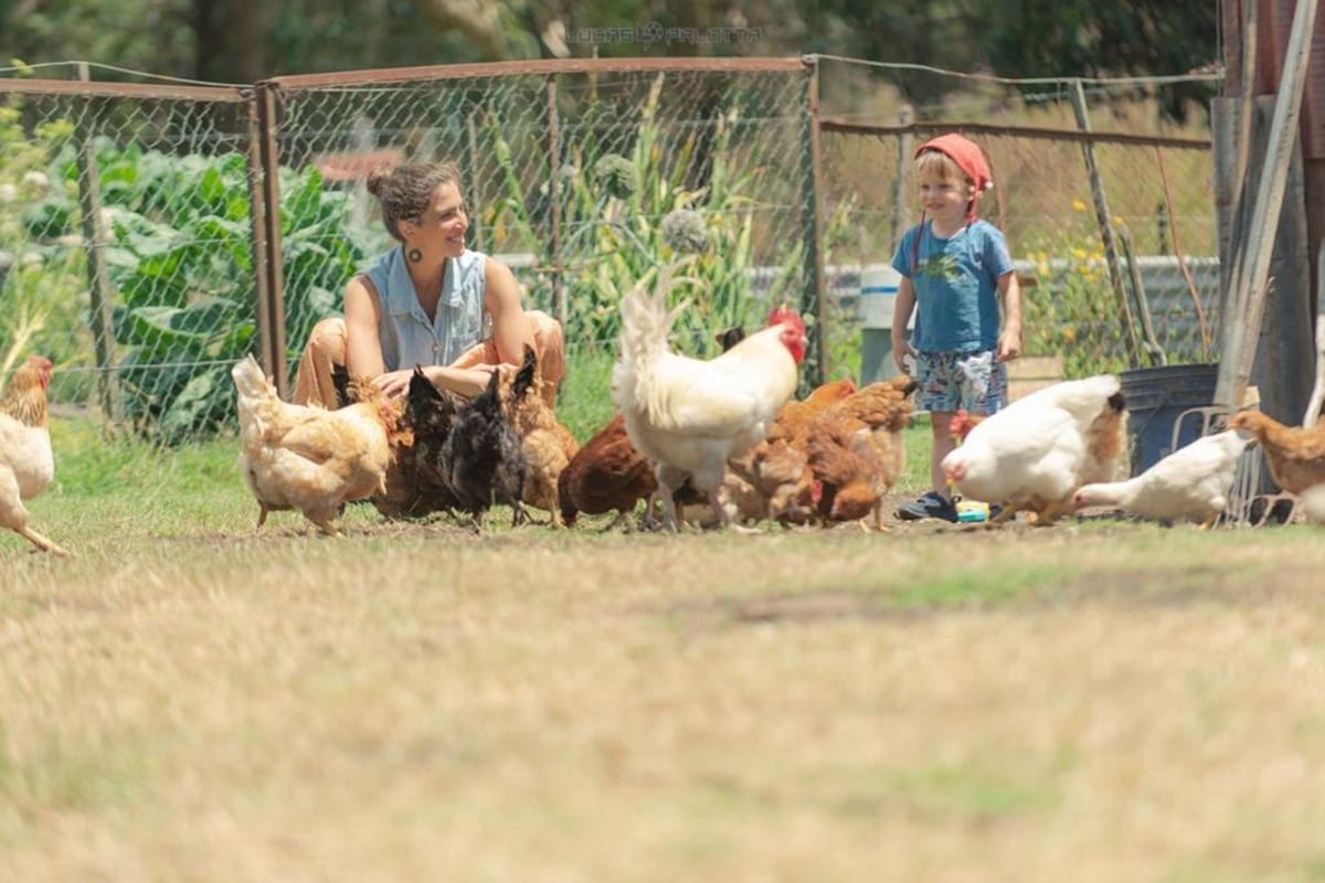 Voluntariado en una granja agroecológica cerca del mar de Necochea.