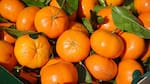 Beneficios de la mandarina: 6 razones para consumir esta fruta que previene el resfriado y la gripe en otoño e invierno