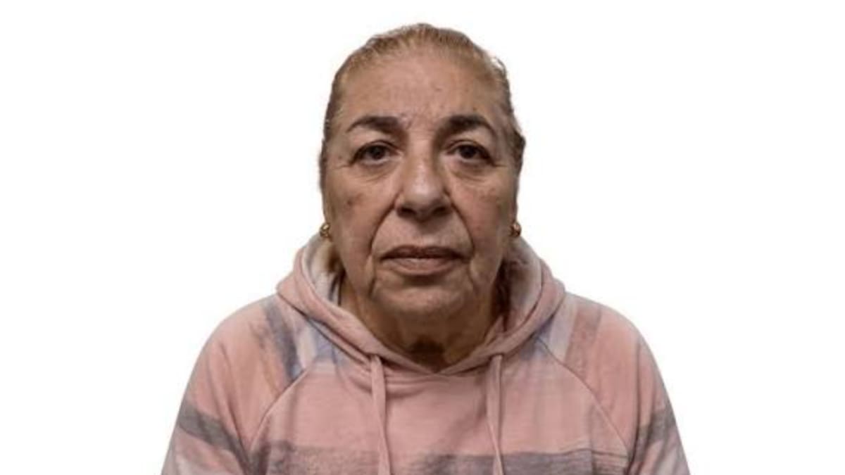 Una gitana con pedido de captura por estafar a una peluquera fue a renovar el DNI, nadie la reconoció y ahora continúa prófuga