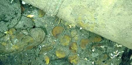 El galeón San José. Foto: X