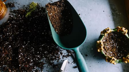 Cómo hacer un buen compost en casa. Foto: Unsplash.