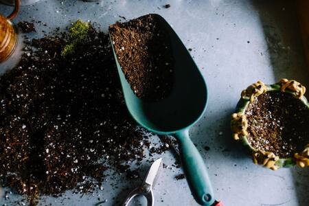 Compost listo para usarse. Foto: Unsplash