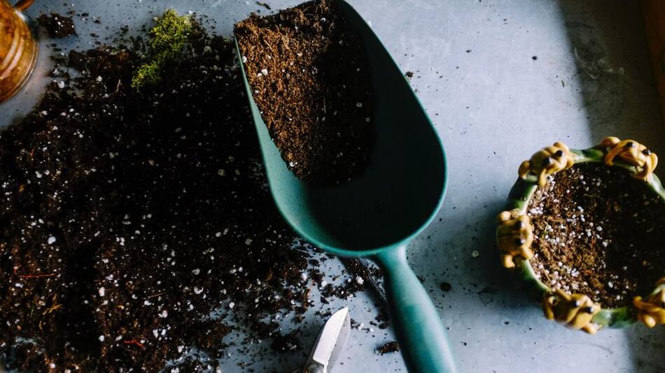 Cómo hacer un buen compost en casa. Foto: Unsplash.