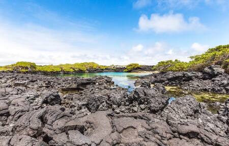 Galápagos fue declarado Patrimonio Natural de la Humanidad el 8 de septiembre de 1978 por el Comité de Patrimonios de la Unesco. Foto Alamy