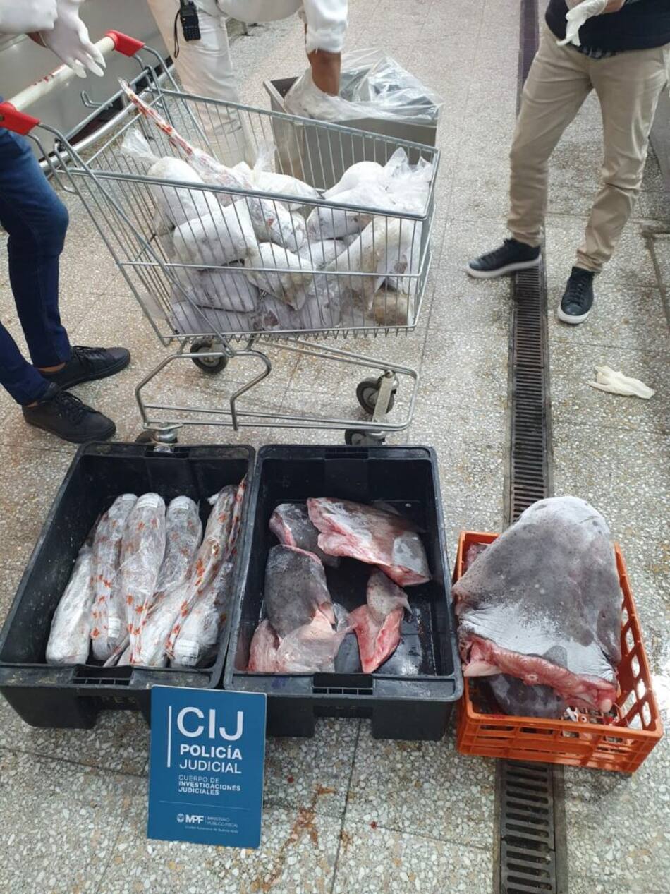 Trozos de tiburón en peligro de extinción. Foto: gentileza Noticias Ambientales.