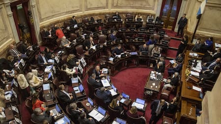 Tras dejar sin efecto los decretos que desregulaban organismos públicos, el Senado aprobó la ley que blinda los presupuestos universitarios
